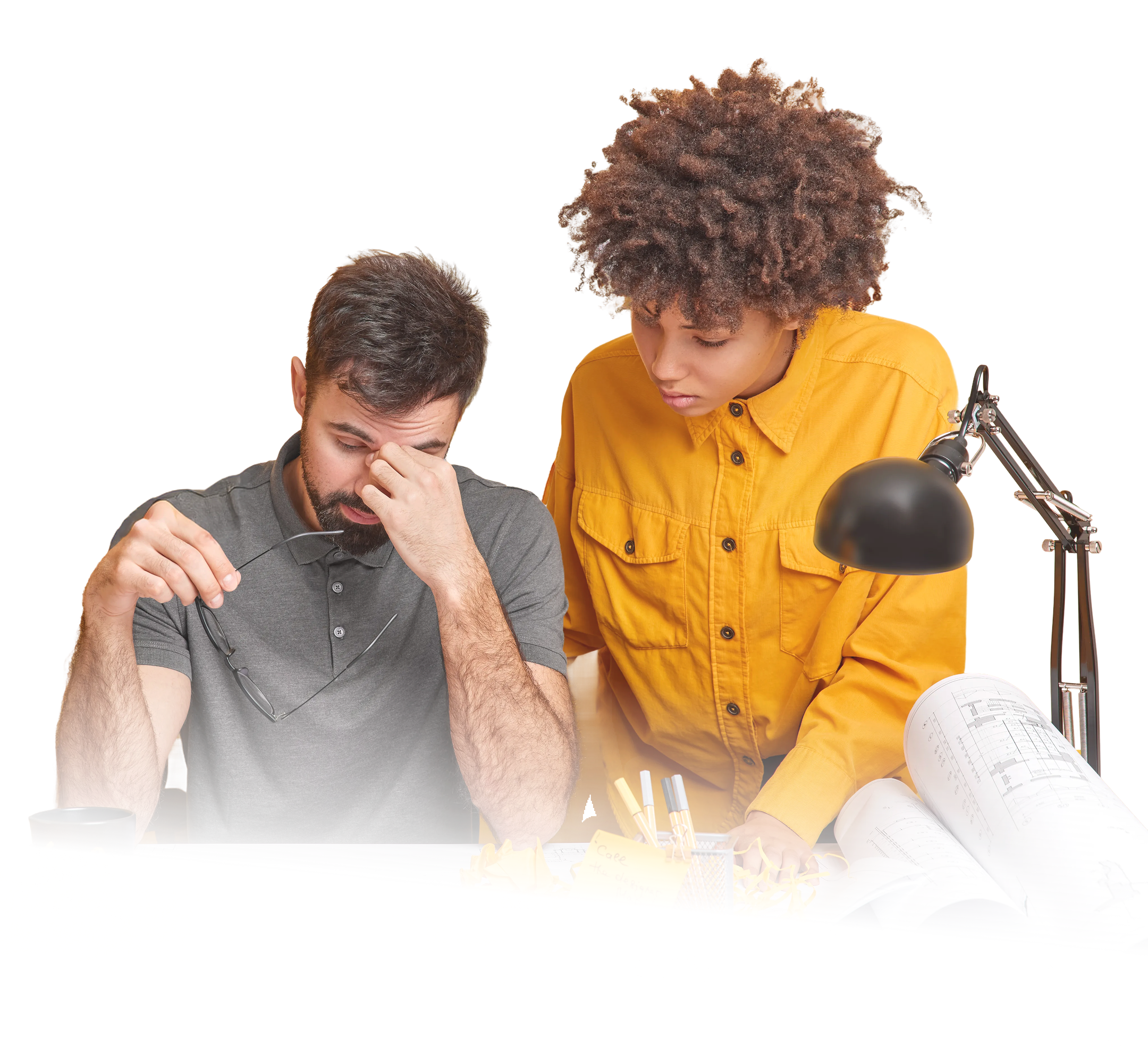 Contact detail and company management interface